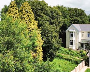 Photo 24- click for photo gallery